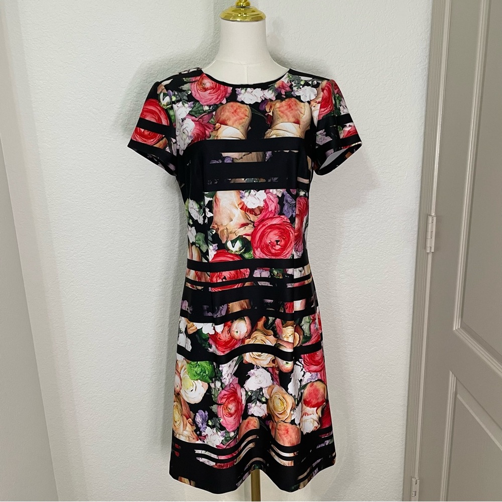 Adrianna Papell Floral Print Sheath Dress with Illusion Stripes